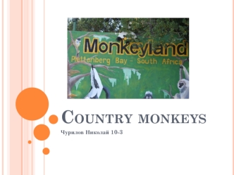 Monkeyland. Country monkeys