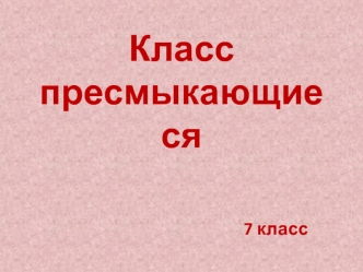 Класс Пресмыкающиеся, или рептилии