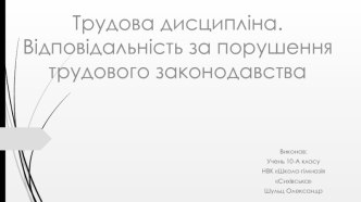 Трудова дисципліна. Відповідальність за порушення трудового законодавства