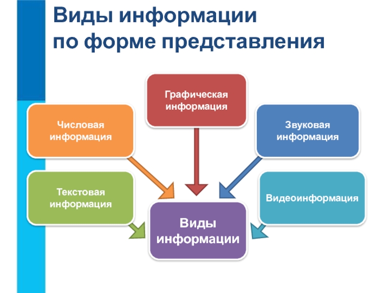 Виды информации в тексте. Виды информации. Виды информации в интернете. Виды информации и документов. Политическая информация виды.