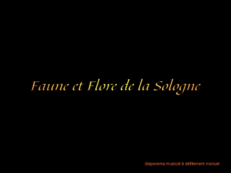 Faune et Flore de la Sologne