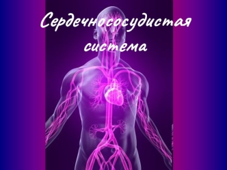 Сердечнососудистая система