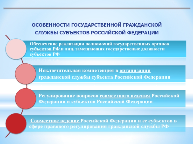 Реферат: Особенности государственной службы субъекта Российской Федерации