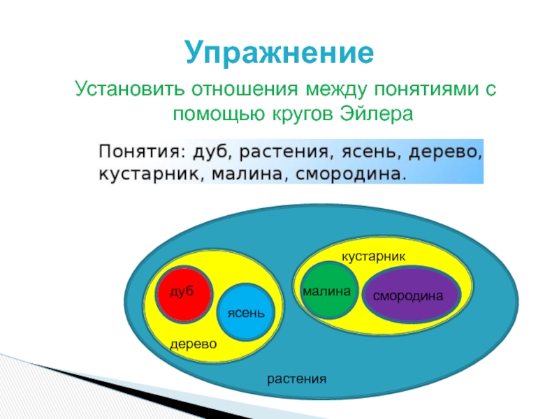 Вася нарисовал схему для следующих понятий люди дети мальчики люди с голубыми глазами