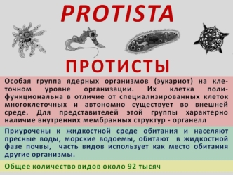 Протисты: царство Животные, подцарство Простейшие