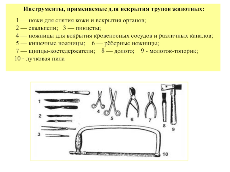 Патологоанатомические инструменты названия и фото