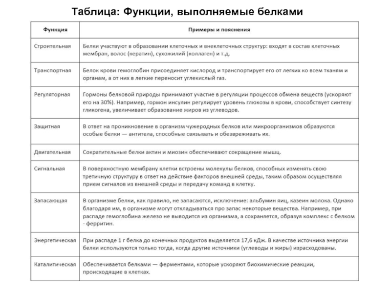 Заполни таблицу функции белков. Функции белка таблица. Основные функции белков и пептидов таблица. Белки жиры углеводы таблица функции. Строительная функция белков примеры.