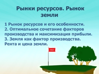 Рынки ресурсов. Рынок земли