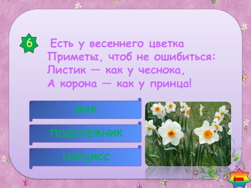 Загадка про цветов. Загадки о садовых цветах для дошкольников. Загадки про садовые цветы. Загадки про цветы для детей. Загадка про Нарцисс для детей.