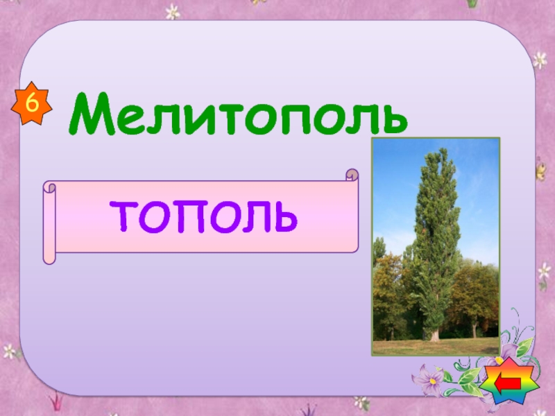 Тополина имя. Город растение животное игра. Игра города имена растения животные. Игра имя город животное растение предмет. Имя растение животное город река.