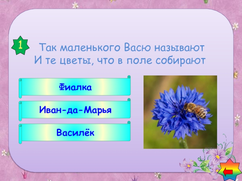 Как назвать васю. Загадки о васильке.