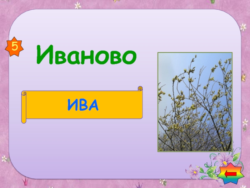 Имя город растение игра. Игра имя город животное растение. Игра имя город животное растение предмет.