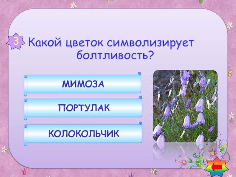 Вопросы по цвету. Цветок символизирующий болтливость. Какой цветок символизирует болтливость. Вопросы про цветы.