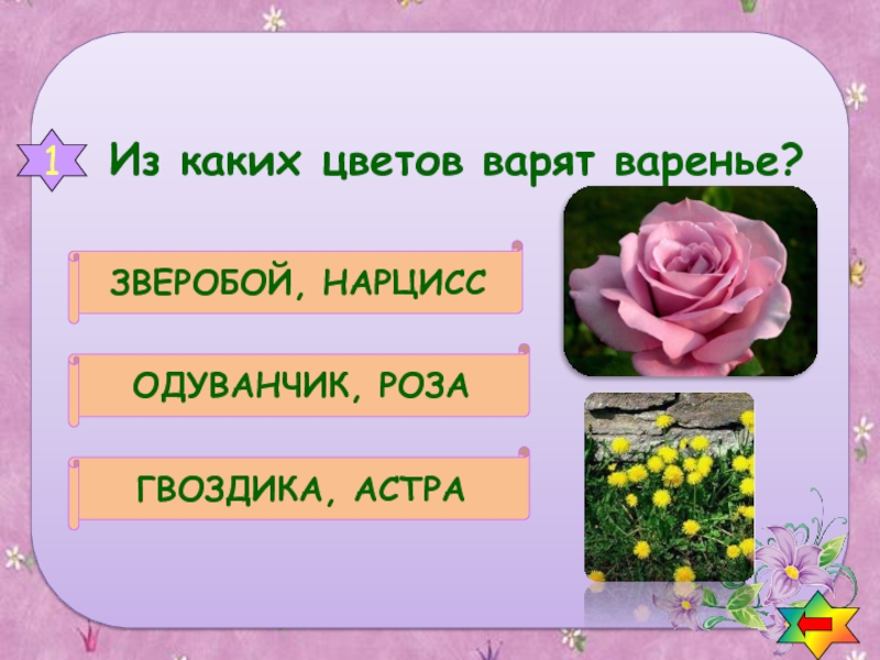 Какой цветок указывает. Вопросы про цветы. Одуванчик роза Астра. Вопросы к цветам\. Из каких цветов варят варенье роза и одуванчик.