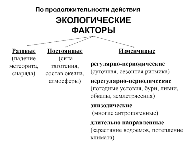 Экологические факторы примеры