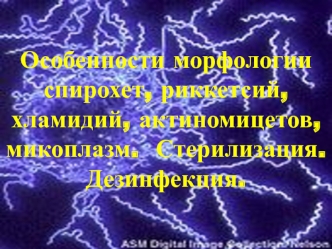 Особенности морфологии спирохет, риккетсий, хламидий, актиномицетов, микоплазм. Стерилизация. Дезинфекция