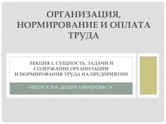 лекция Сущность, задачи и содержание организации