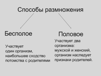 Способы размножения