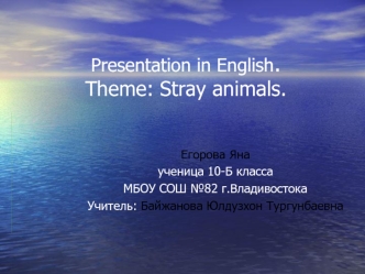 Presentation in English. Theme: Stray animals