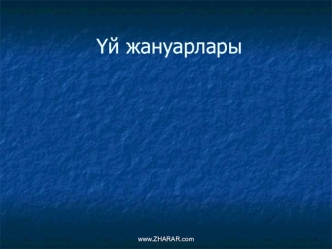 Үй жануарлары