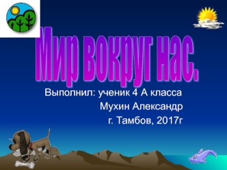 Мир вокруг нас. (4 класс)