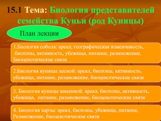 Биология представителей семейства Куньи (род Куницы)