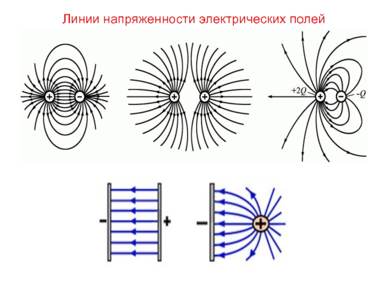 Картина линий напряженности