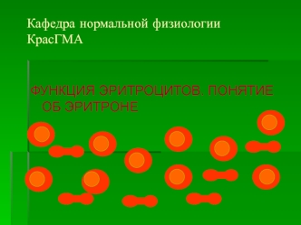 Функция эритроцитов. Понятие об эритроне