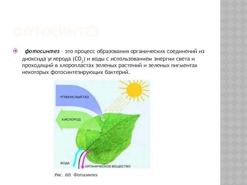 Для образования органических веществ растениям необходима энергия. Фотосинтез листа схема. Фотосинтез 9 класс биология. Фотосинтез органические вещества. Фотосинтез зеленых растений.