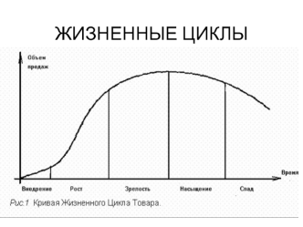 Жизненные циклы