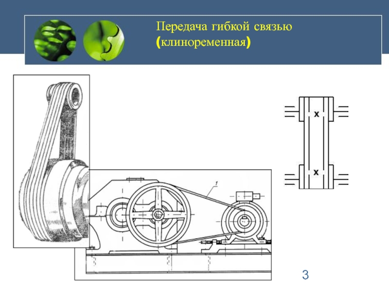 Кинематическая схема укупорочной машины