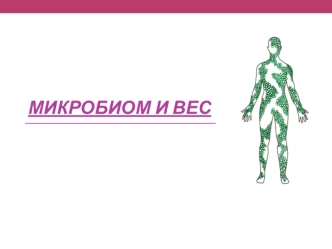 Микробиом и вес