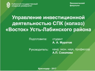 Управление инвестиционной деятельностью СПК (колхоз)