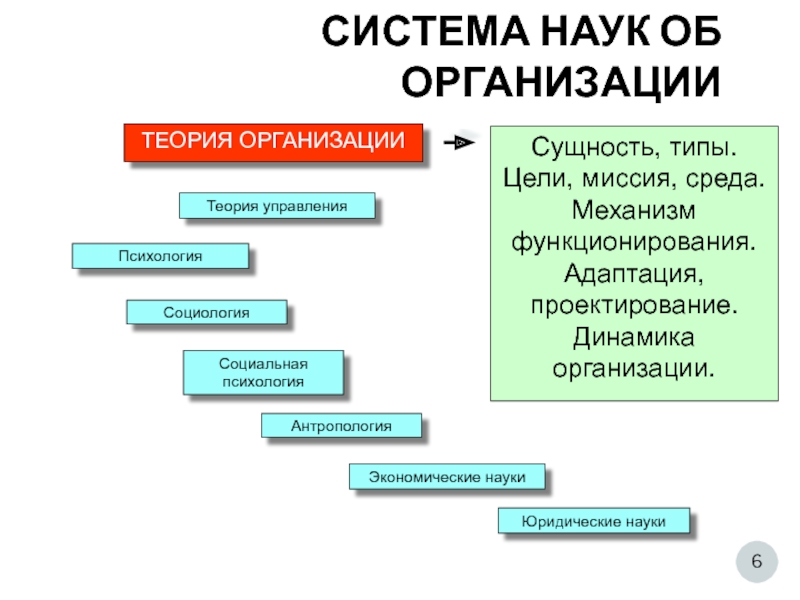 Динамичность организации. Теория организации в системе наук,связь с другими науками. Основные виды организационной антропологии.