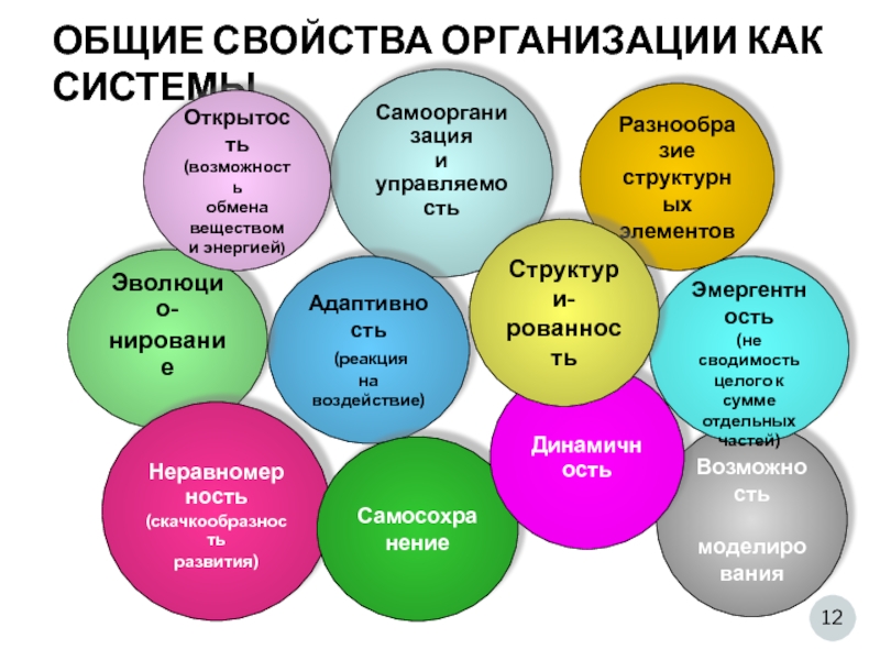 Свойства организации. Общие свойства организации как системы. Основные свойства развития. Свойства организации в теории организации. Основные свойства организаций будущего.