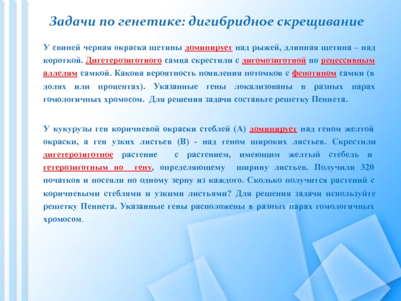 У свиней черная окраска щетины доминирует над рыжей длинная щетина над короткой составьте схему