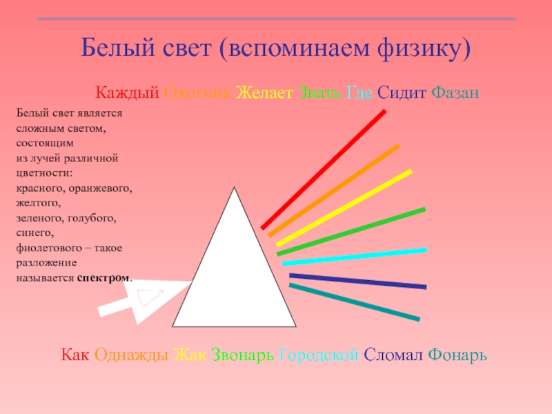 Свет является. Каждый охотник желает знать. Из чего состоит белый свет. Каждый охотник желает знать где сидит фазан физика. Каждый охотник желает знать где сидит фазан физика длина волны.