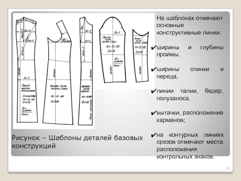 Основные конструктивные линии на чертеже брюк