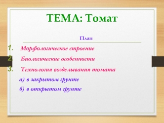 Томат