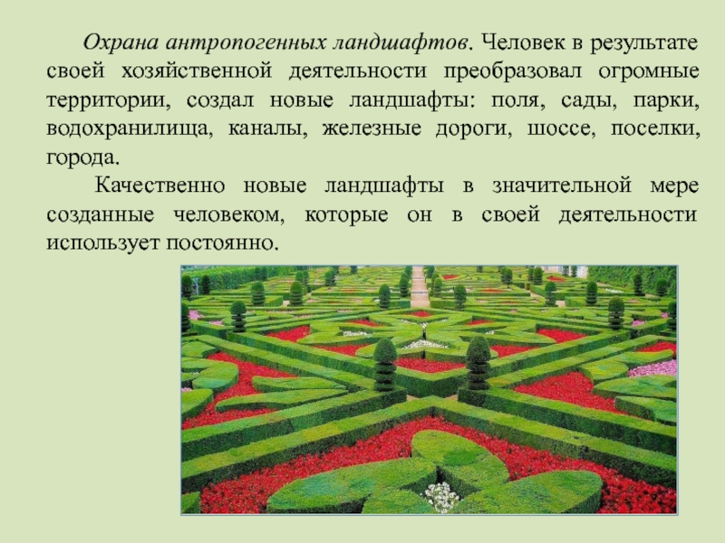 Назовите способ улучшения антропогенного ландшафта который представлен на рисунке 7