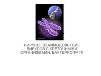 Лекция 5. Вирусы. Взаимодействие вирусов с клеточными организмами. Бактериофаги