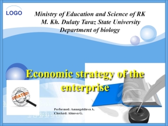 Economic strategy of the enterprise