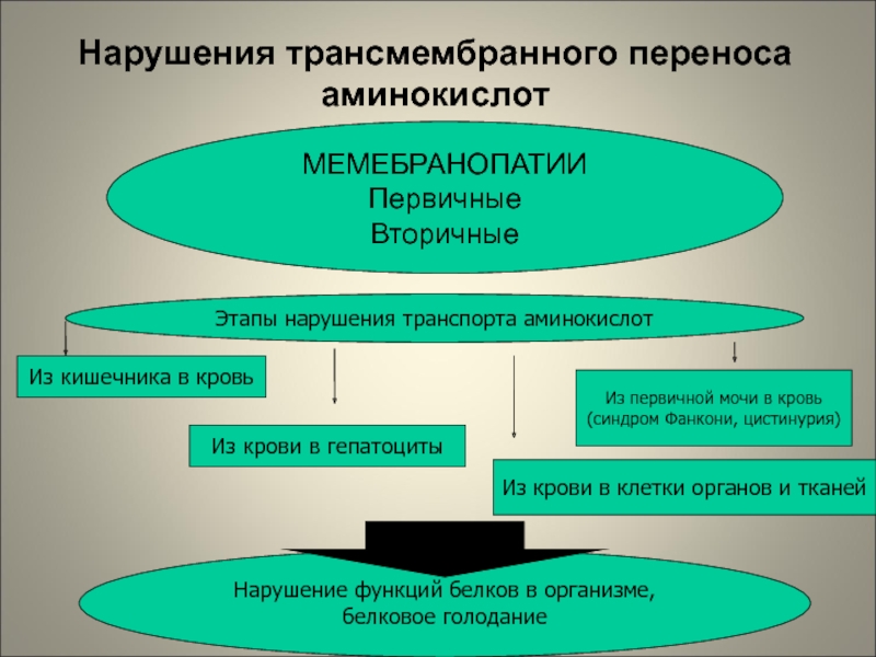 Перенос аминокислот. Нарушение трансмембранного переноса аминокислот. Трансмембранный перенос аминокислот. Нарушение трансмембранного переноса аминокислот патофизиология. Механизмы трансмембранного переноса аминокислот.