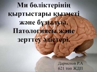 Ми бөліктерінің қыртыстары қызметі және бұзылуы. Патологиясы және зерттеу әдістері