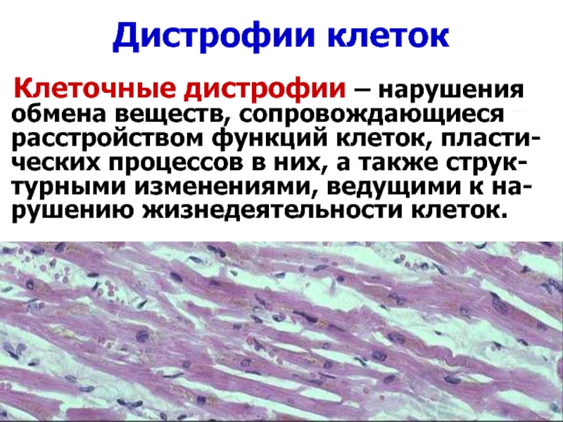 Изменения клетки