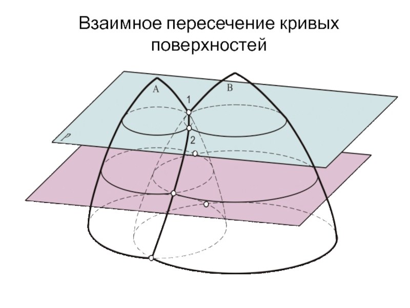 Точки пересечения кривых. Пересечение Кривой поверхности плоскостью. 2 Пересекающиеся кривые. Кривые поверхности 2 класс. Картинку 2 пересекающие кривые.