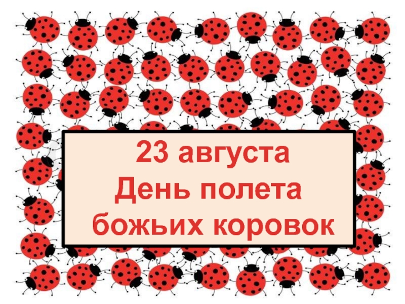 День божьих коровок 13 июня картинки с надписями