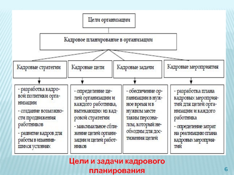 План кадрового обеспечения