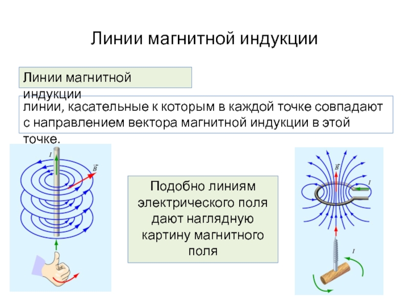 Магнитные линии электрического поля