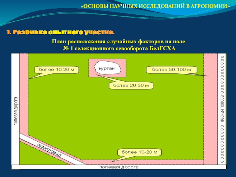 Отделение части территории от государства. Разбивка опытного участка. Разбивка территории опытного поля. Факторное поле. Севообороты на плане как располагаются.